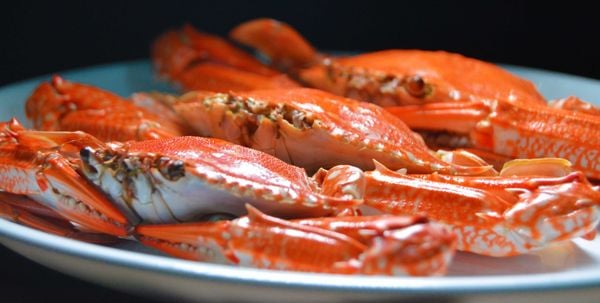 Ăn gì ở Phan Thiết? Top món ngon không thể bỏ lỡ