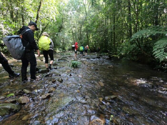 Trekking vườn quốc gia Bidoup