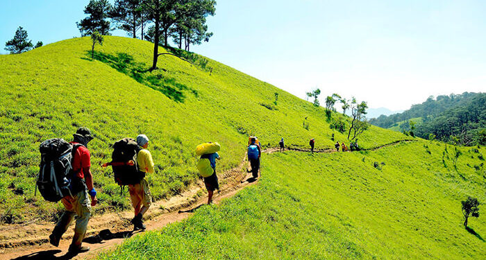 Các tour trekking Đà Lạt